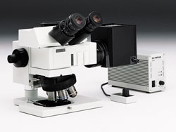 小型系統顯微鏡 BXFM
