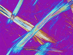 Polarized Light microscope observation of Asbestos fiber