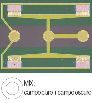 Estrutura em wafer semicondutor – MIX
