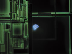 FL [fluorescencia] (muestra: partícula en oblea semiconductora)