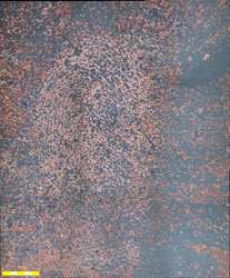 2B Impressão digital em superfície de cobre limpa com náilon
