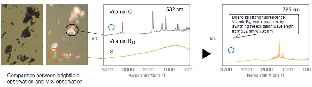 라만으로 이미지화 및 측정된 비타민