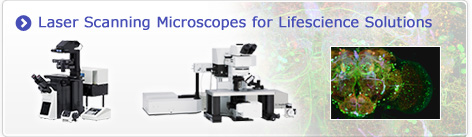 Laser Scanning Microscope