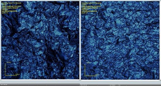 Figure 6:  LEXT OLS4100 screen shots of area scans of the surfaces of scrapers used on fresh hide and dry hide